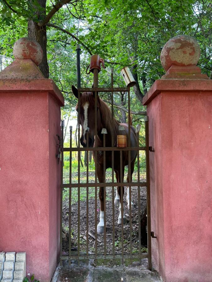 Popice Hideaway Znojmo